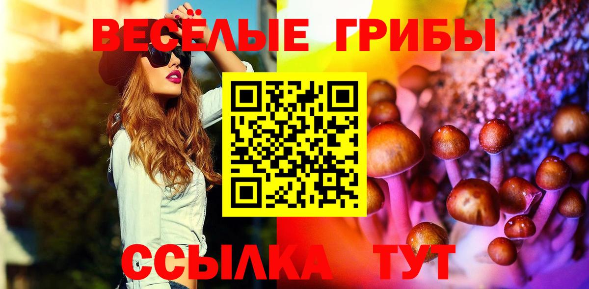 Псилоцибиновые грибы Cubensis Ефремов