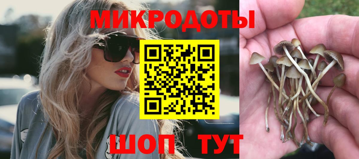 Ефремов  Псилоцибиновые грибы Psilocybe  Вход с VPN 